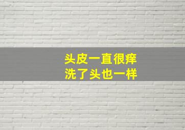 头皮一直很痒 洗了头也一样